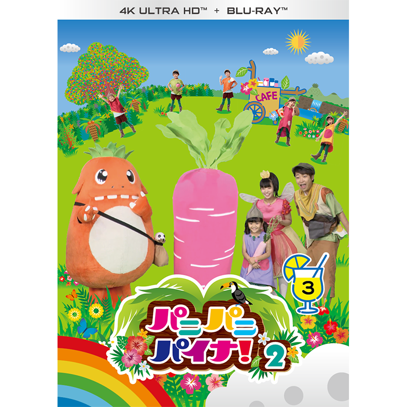 パニパニパイナ!シーズン2最新DVD vol.3 11月30日発売!