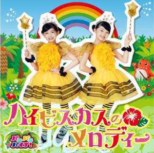 「ハイビスカスのメロディー」リ リース!